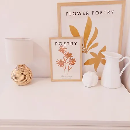 Style In Style Near Bus Station Nivy